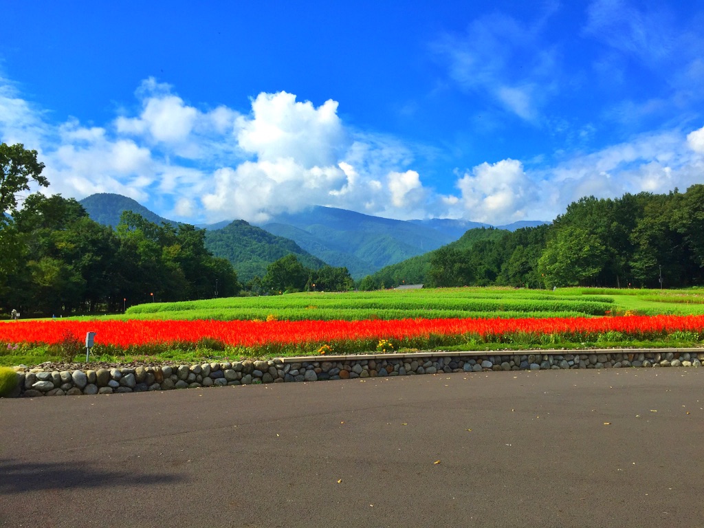 f:id:CNwriting:20150921190400j:plain f:id:CNwriting:20150921190400j:plain