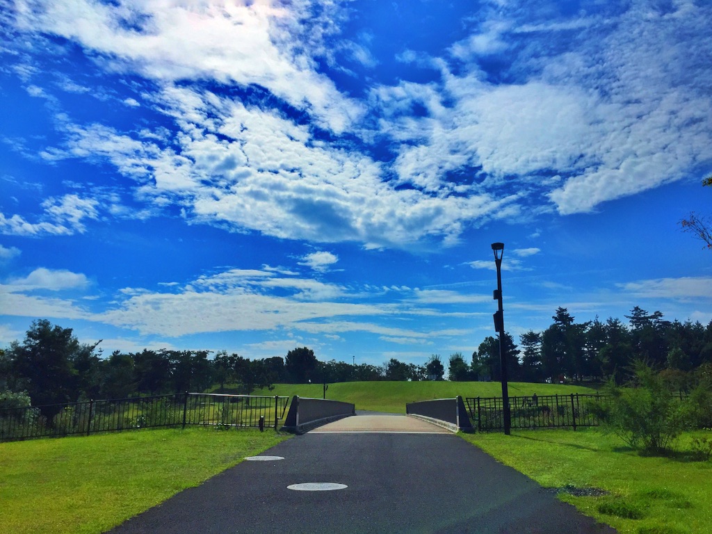 f:id:CNwriting:20150921190414j:plain f:id:CNwriting:20150921190414j:plain
