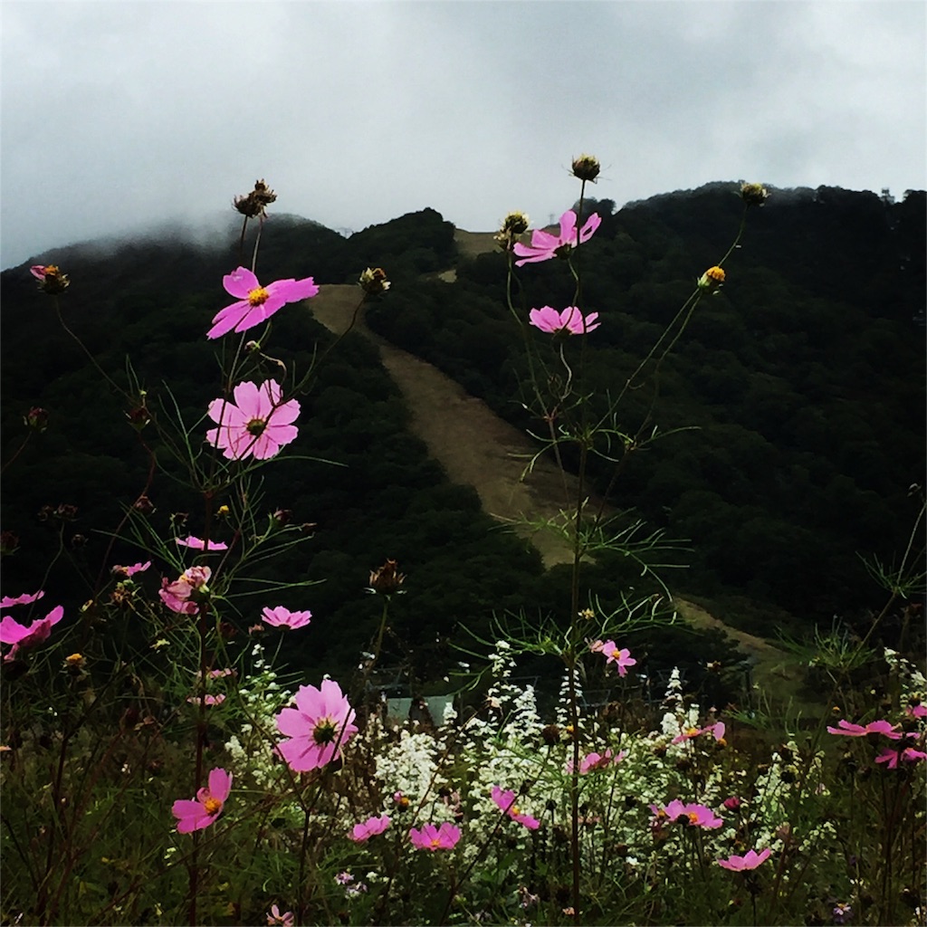 f:id:CNwriting:20150926223930j:plain