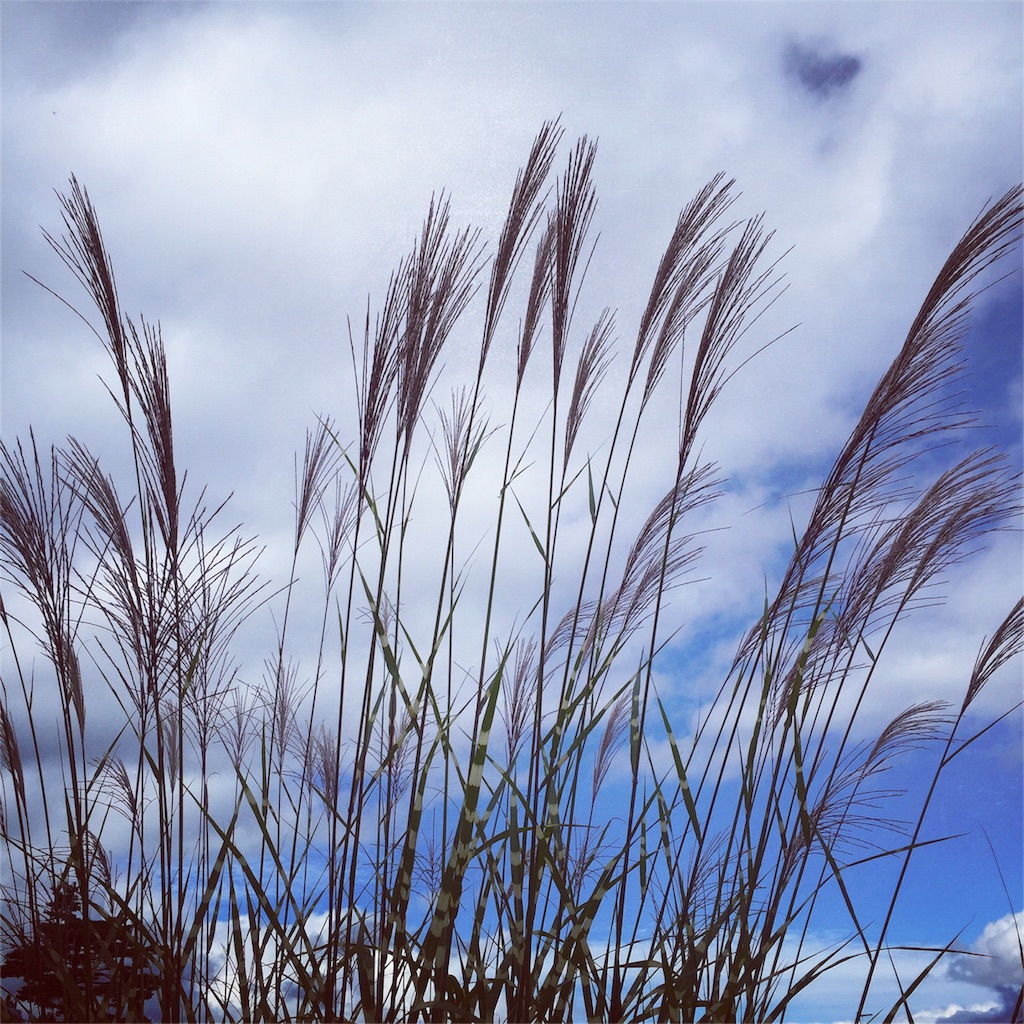 f:id:CNwriting:20150926223950j:plain