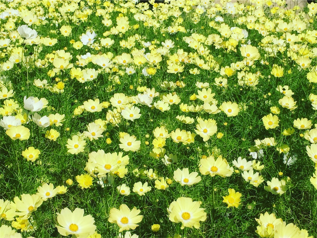 f:id:CNwriting:20151025191403j:plain