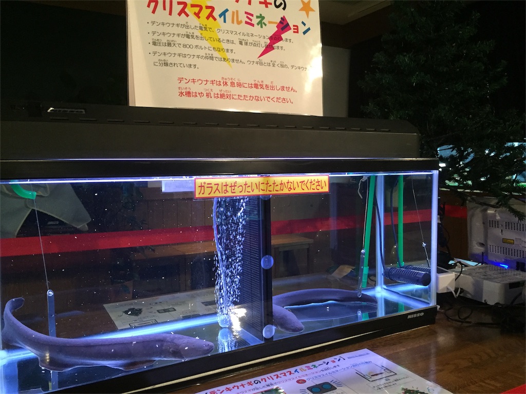 f:id:CNwriting:20151115222246j:plain