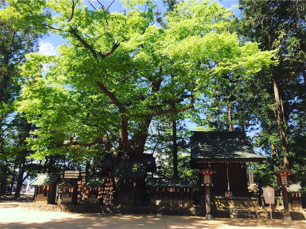 f:id:CNwriting:20160505142923j:plain