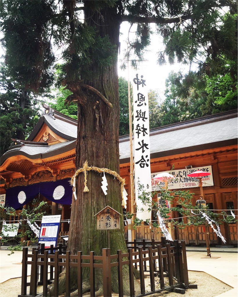 f:id:CNwriting:20160507200043j:plain