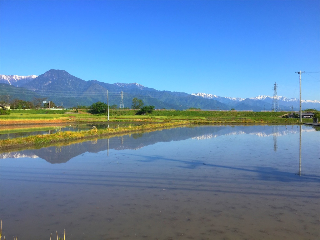 f:id:CNwriting:20160513074342j:plain f:id:CNwriting:20160513074342j:plain