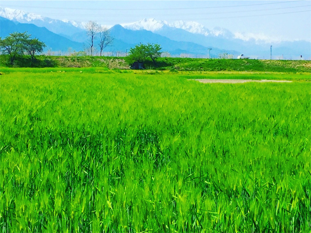 f:id:CNwriting:20160522212418j:image f:id:CNwriting:20160522212418j:image