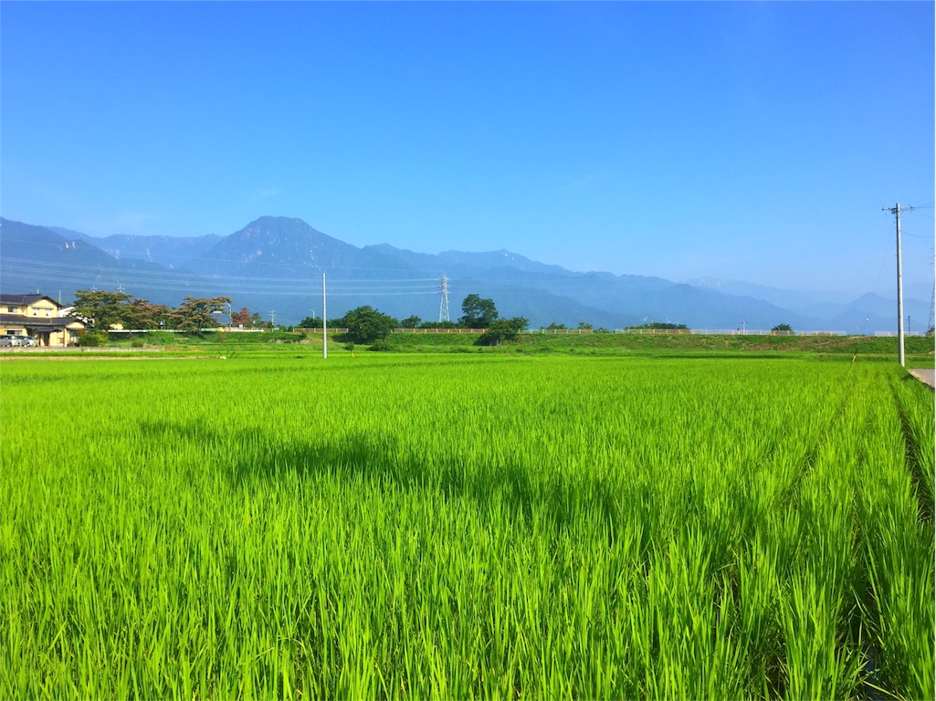 f:id:CNwriting:20160712081429j:plain f:id:CNwriting:20160712081429j:plain