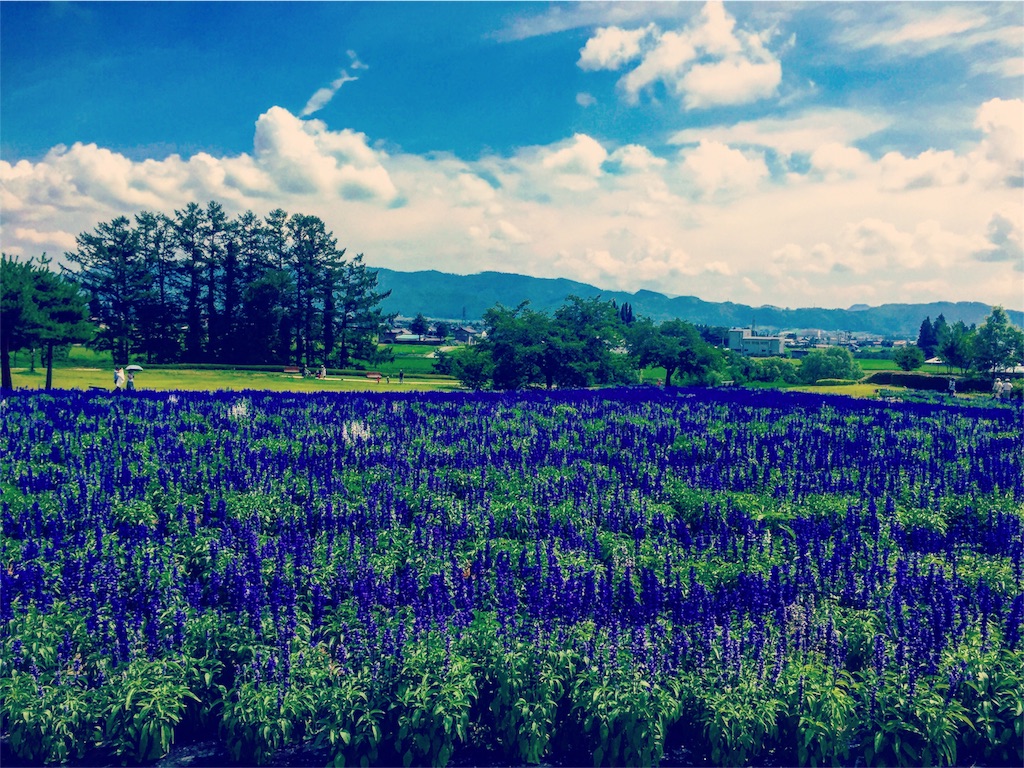 f:id:CNwriting:20160724181346j:plain