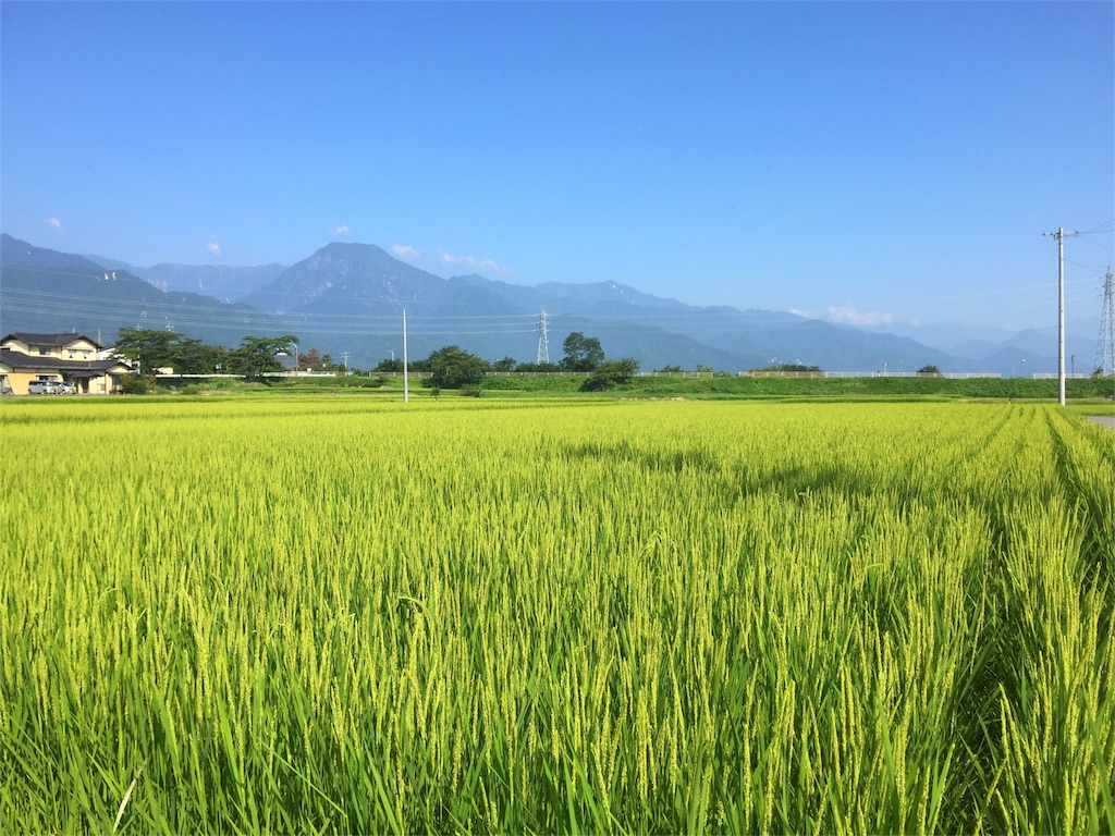 f:id:CNwriting:20160815194305j:plain f:id:CNwriting:20160815194305j:plain