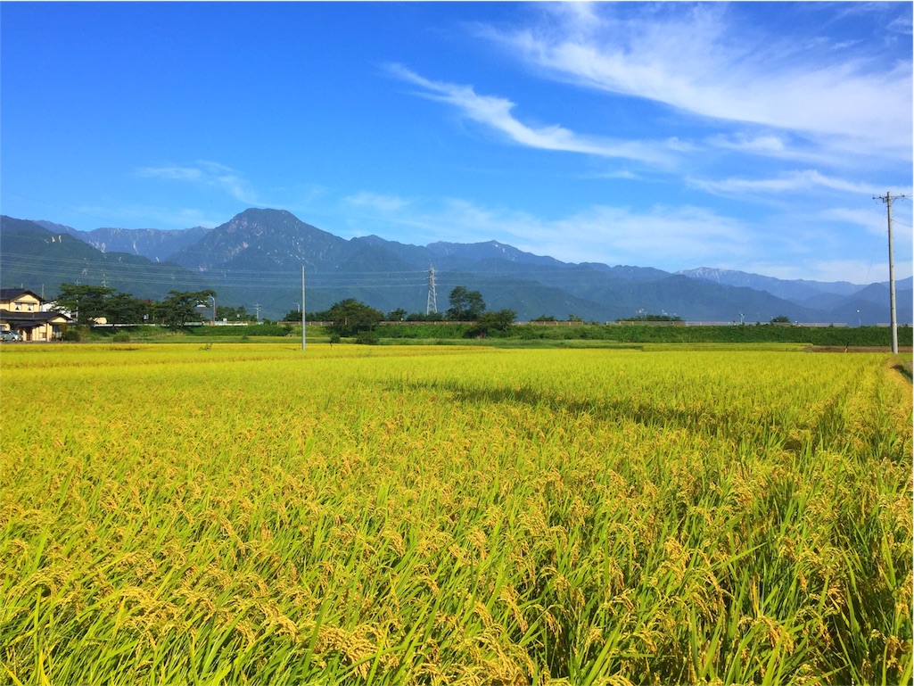 f:id:CNwriting:20160914201527j:plain f:id:CNwriting:20160914201527j:plain