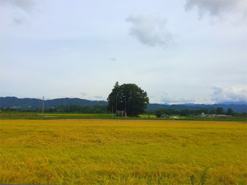 f:id:CNwriting:20160915134106j:plain