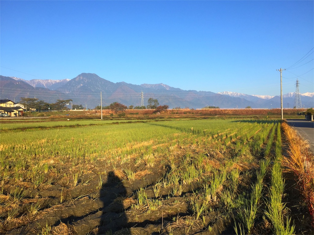 f:id:CNwriting:20161124122609j:plain f:id:CNwriting:20161124122609j:plain
