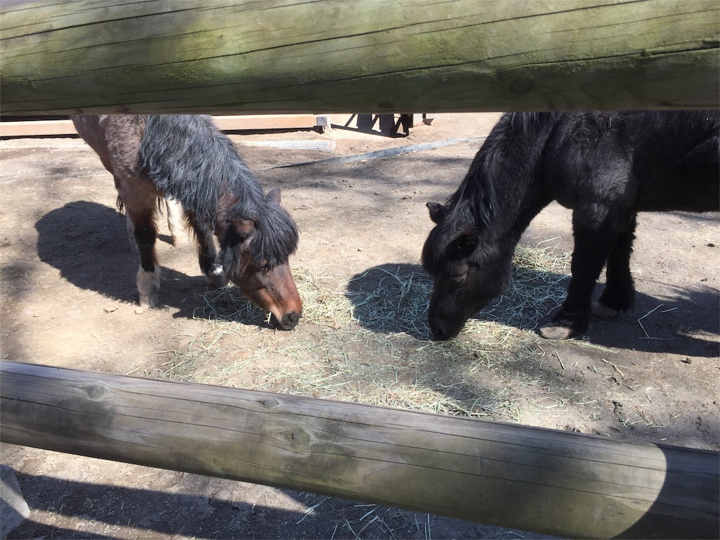 長野県松本市 アルプス公園 の動物園は無料でたくさんの動物が見れるよ 都会より田舎が好き 長野県松本市 アルプス公園 の動物園は無料でたくさんの動物が見れるよ 都会より田舎が好き