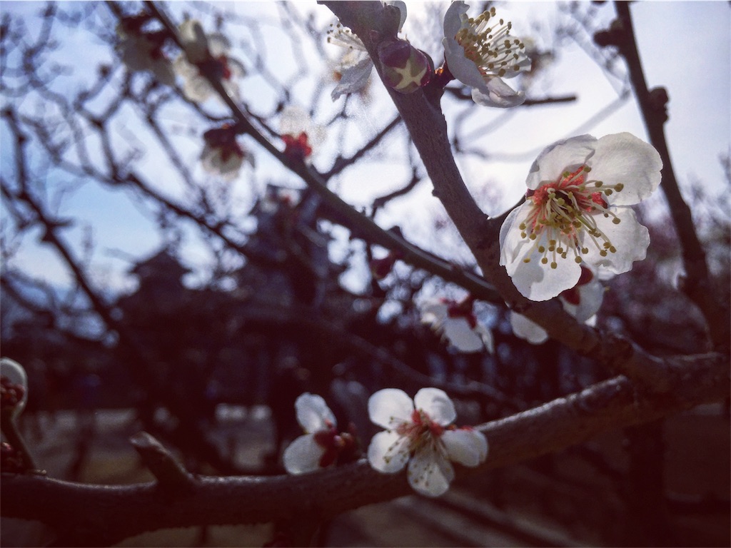f:id:CNwriting:20170405140754j:plain