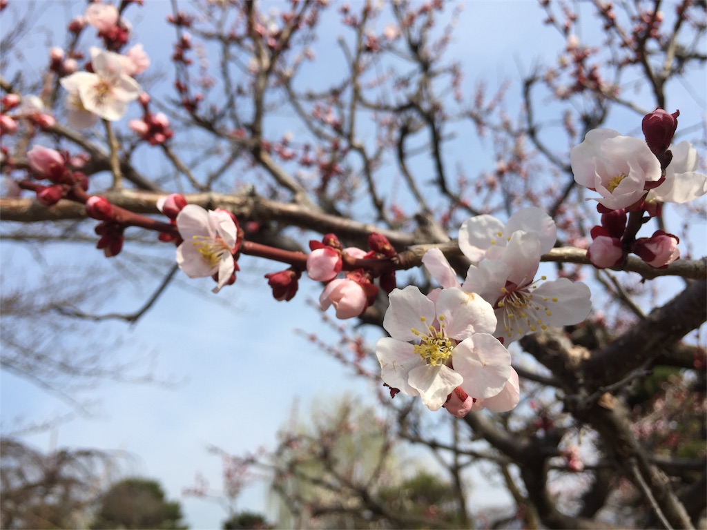 f:id:CNwriting:20170405140819j:plain