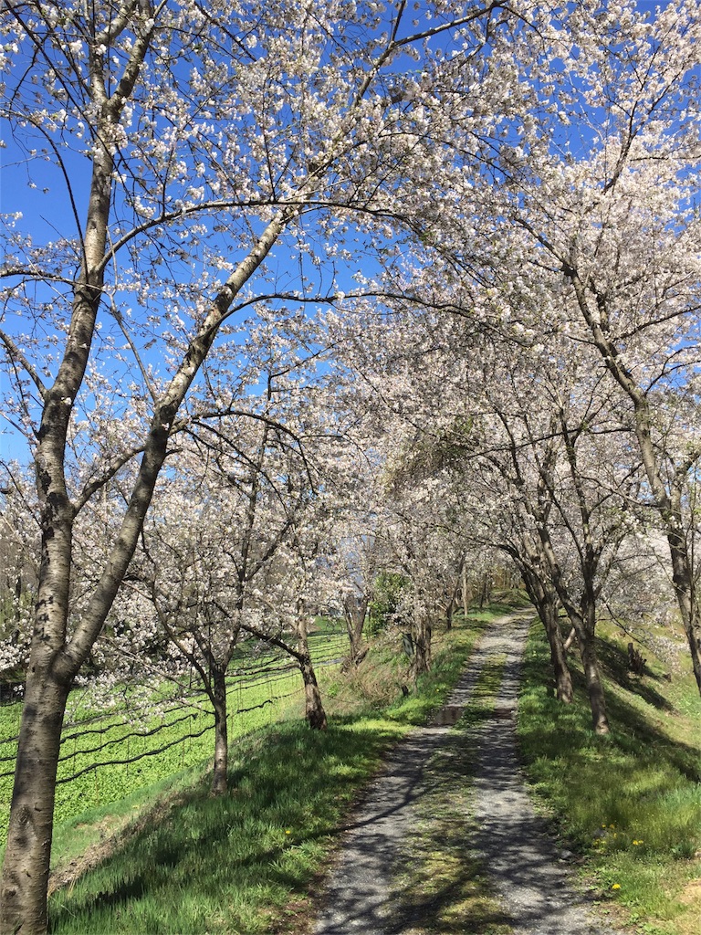 f:id:CNwriting:20170418165712j:plain f:id:CNwriting:20170418165712j:plain