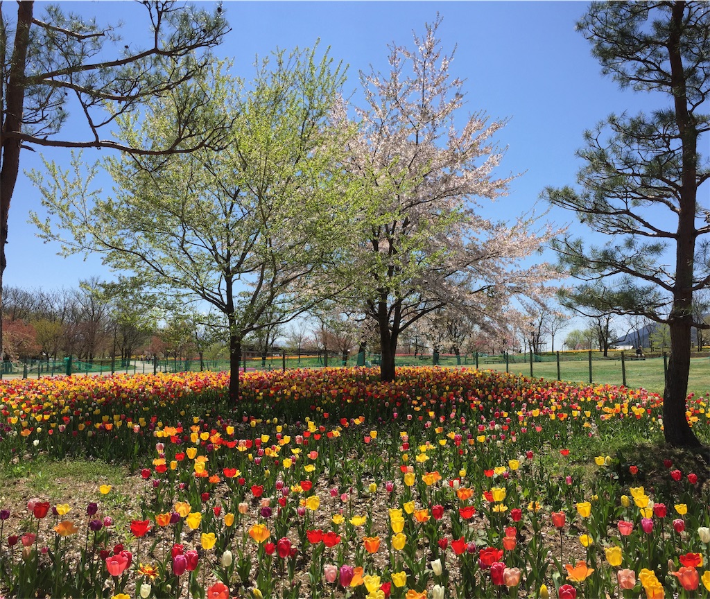 f:id:CNwriting:20170428214158j:plain f:id:CNwriting:20170428214158j:plain