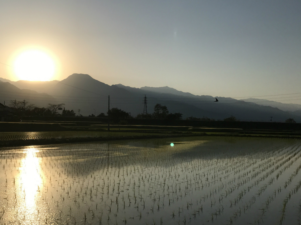 f:id:CNwriting:20170520225130j:plain
