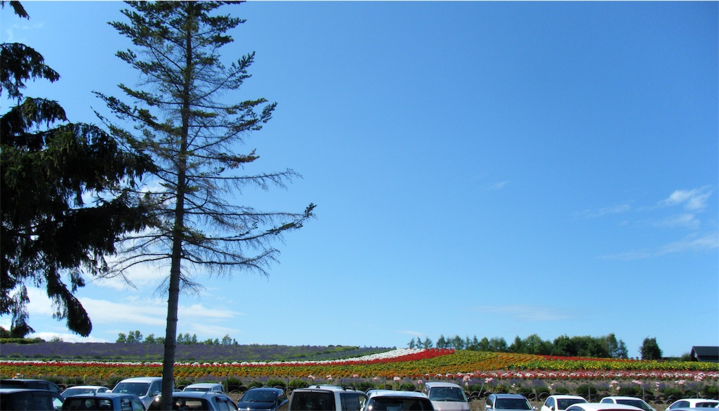 f:id:CNwriting:20170526082723j:plain