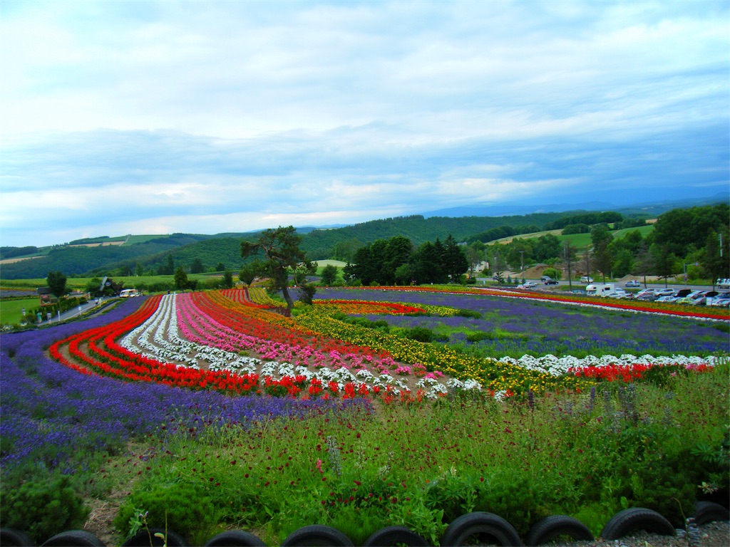 f:id:CNwriting:20170526082725j:plain