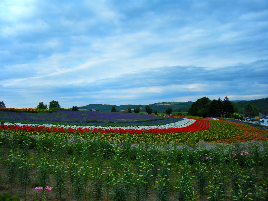 f:id:CNwriting:20170526082731j:plain