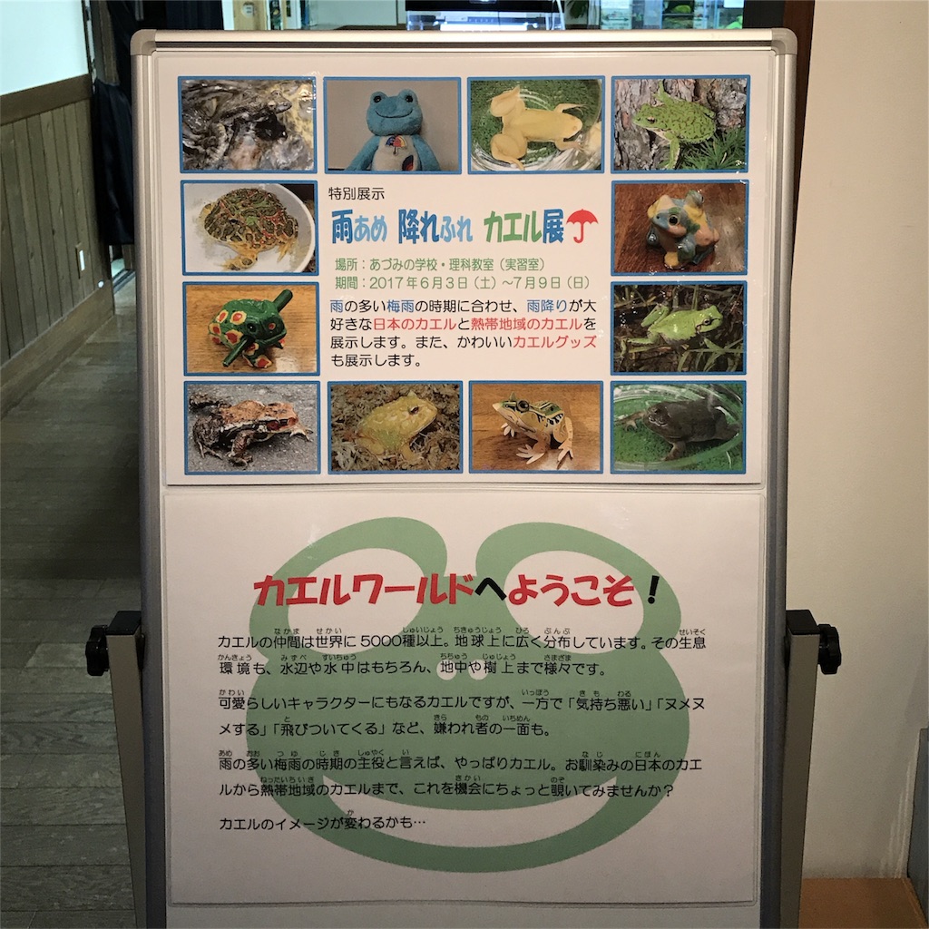 f:id:CNwriting:20170628074359j:image f:id:CNwriting:20170628074359j:image