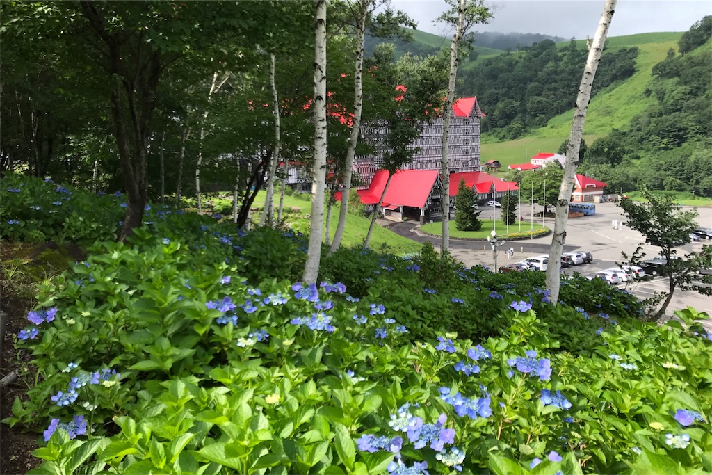 f:id:CNwriting:20170801215722j:plain