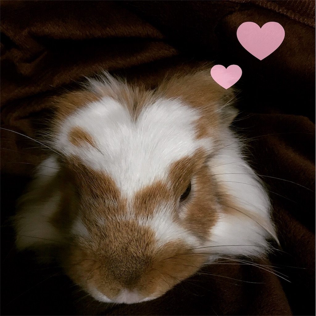 f:id:CNwriting:20171025121001j:plain