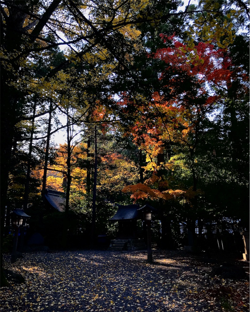 f:id:CNwriting:20171106065738j:plain