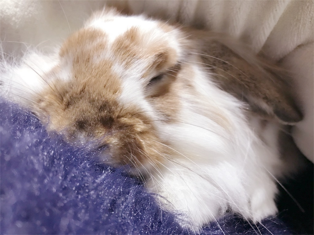 f:id:CNwriting:20171213163312j:plain