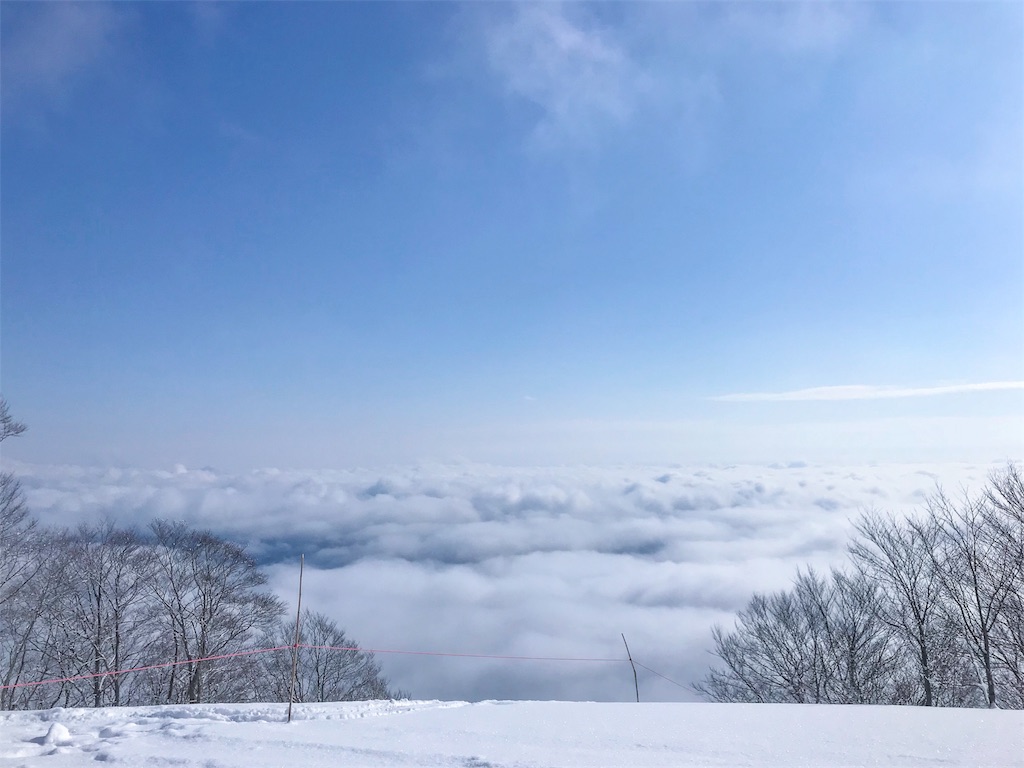 f:id:CNwriting:20180202185641j:plain