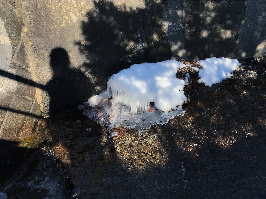 f:id:CNwriting:20180214154752j:plain f:id:CNwriting:20180214154752j:plain