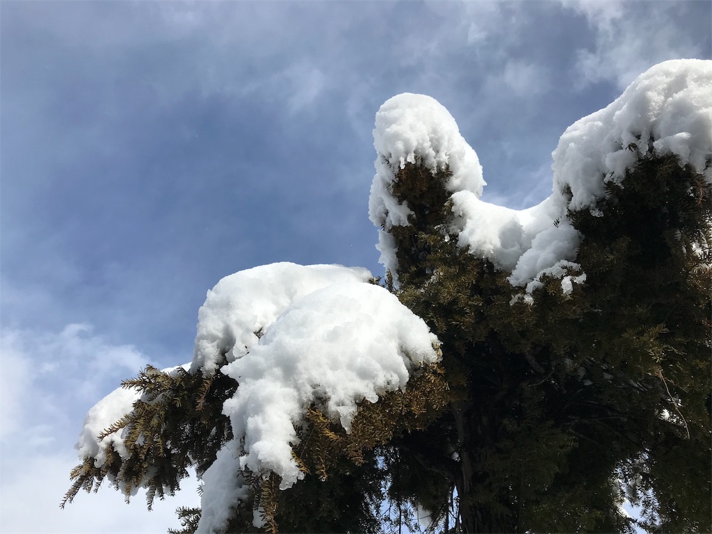 f:id:CNwriting:20180301083825j:plain