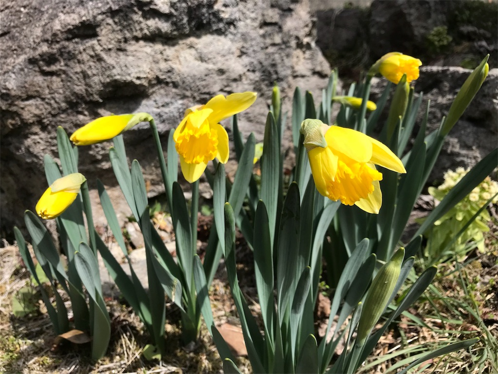 f:id:CNwriting:20180401114611j:plain
