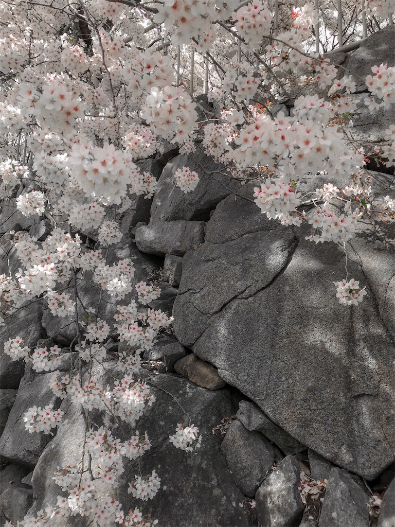 f:id:CNwriting:20180405074117j:plain