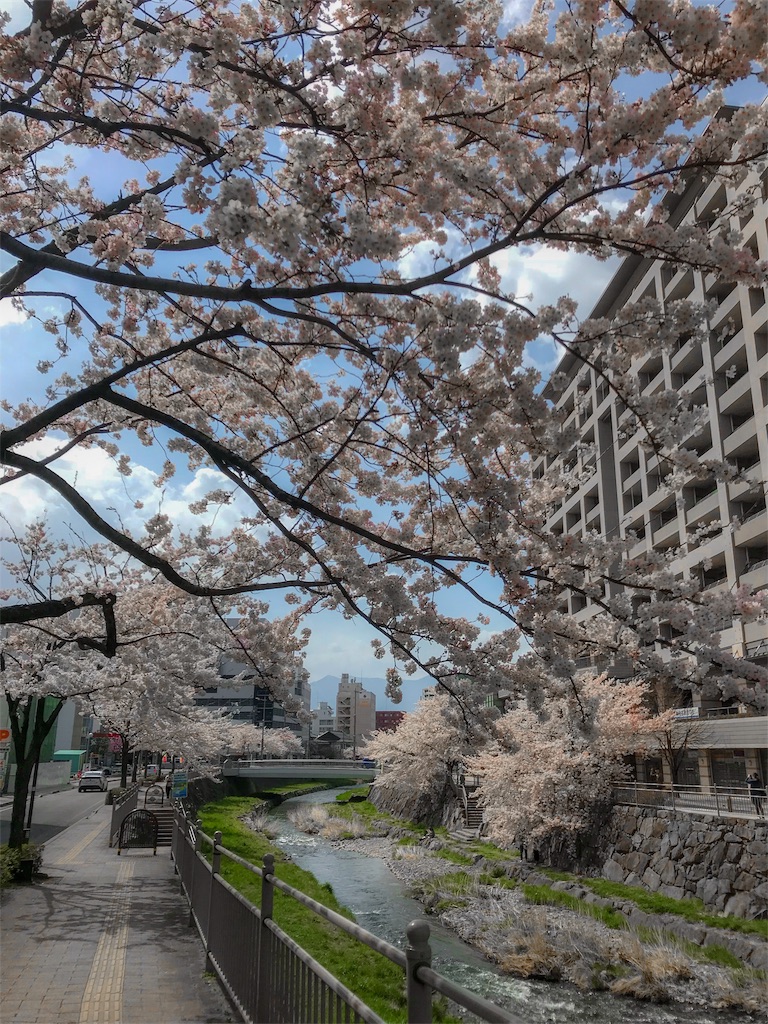 f:id:CNwriting:20180405074121j:plain