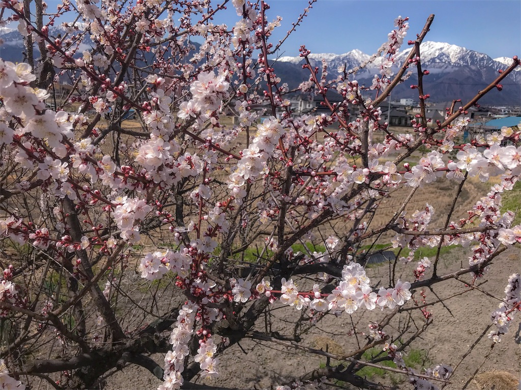 f:id:CNwriting:20180405120216j:plain