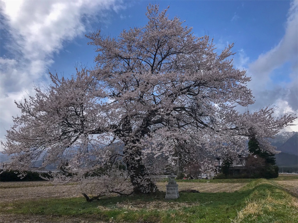 f:id:CNwriting:20180407131112j:plain