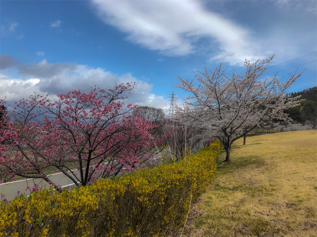 f:id:CNwriting:20180407132714j:plain f:id:CNwriting:20180407132714j:plain