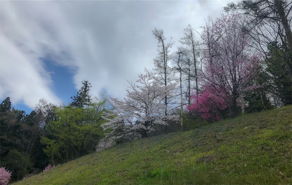 f:id:CNwriting:20180407132722j:plain f:id:CNwriting:20180407132722j:plain