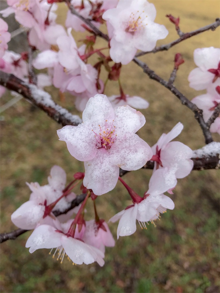 f:id:CNwriting:20180409075151j:plain