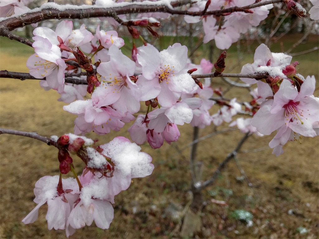 f:id:CNwriting:20180409075201j:image