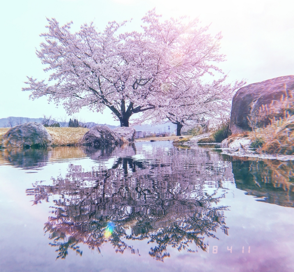 f:id:CNwriting:20180411145543j:plain