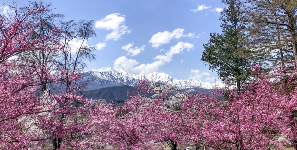 f:id:CNwriting:20180412222058j:plain f:id:CNwriting:20180412222058j:plain