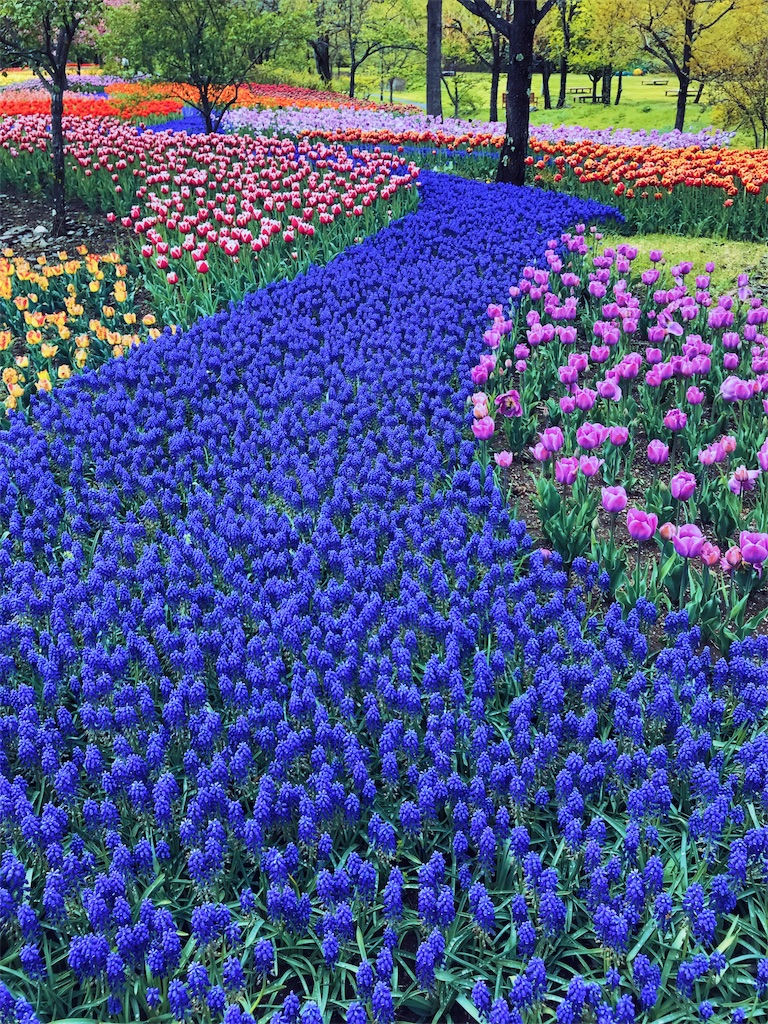 f:id:CNwriting:20180426083726j:plain