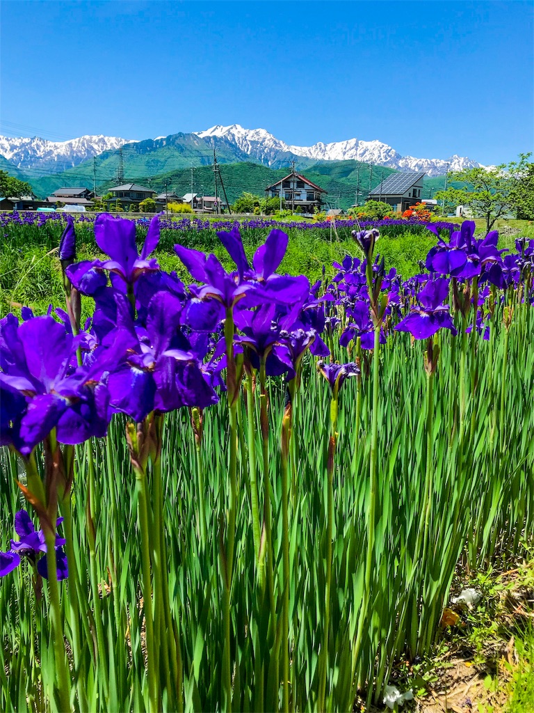 f:id:CNwriting:20180521131828j:plain f:id:CNwriting:20180521131828j:plain