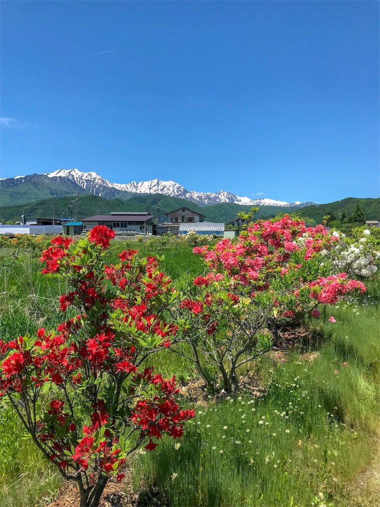f:id:CNwriting:20180521131836j:plain f:id:CNwriting:20180521131836j:plain