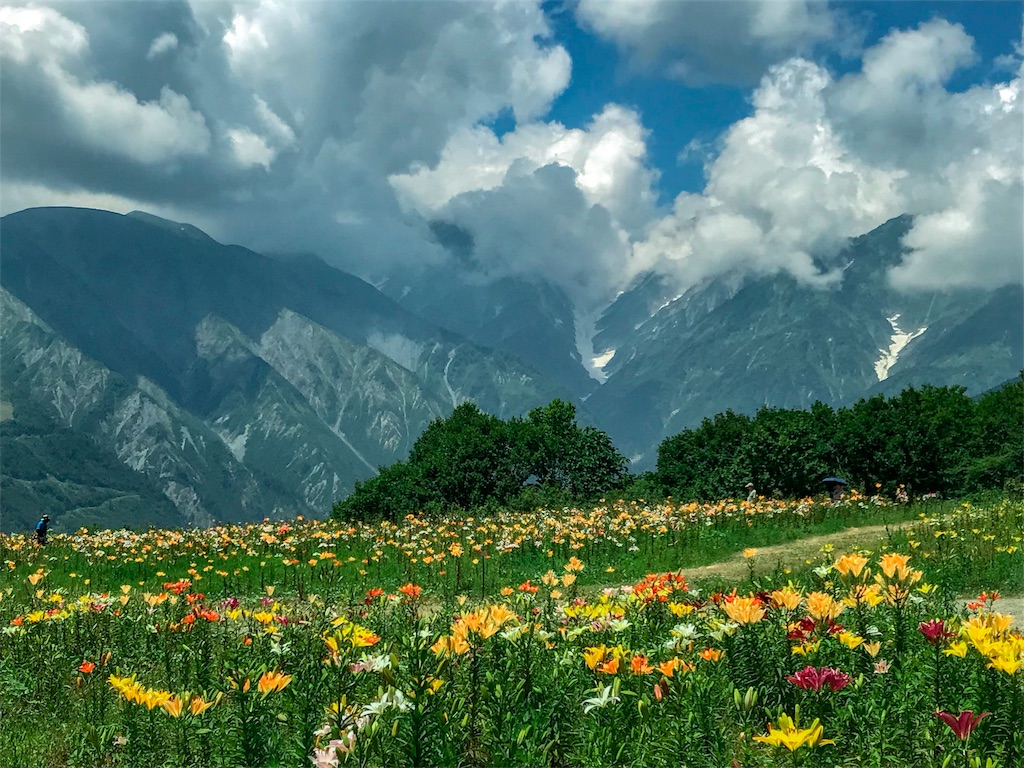 f:id:CNwriting:20180729111159j:plain f:id:CNwriting:20180729111159j:plain