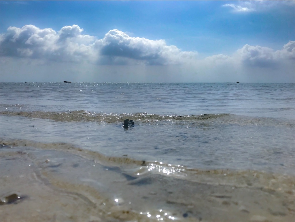 f:id:CNwriting:20181025193439j:plain f:id:CNwriting:20181025193439j:plain