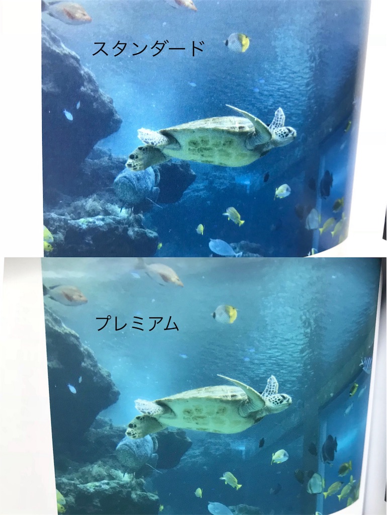 f:id:CNwriting:20181026191229j:plain f:id:CNwriting:20181026191229j:plain